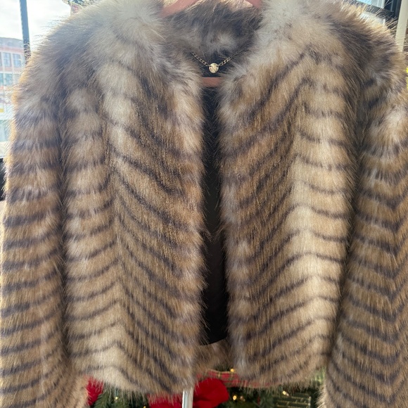 Fur Coat - Picture 2 of 6